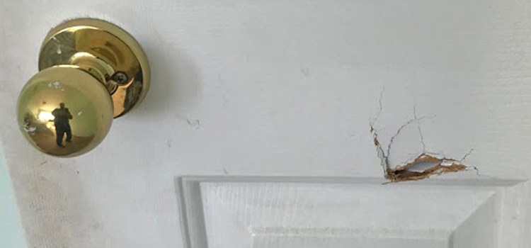 interior door hole repair Rosemont