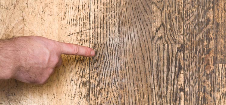 Wood Door Scratch Repair in Rosemont
